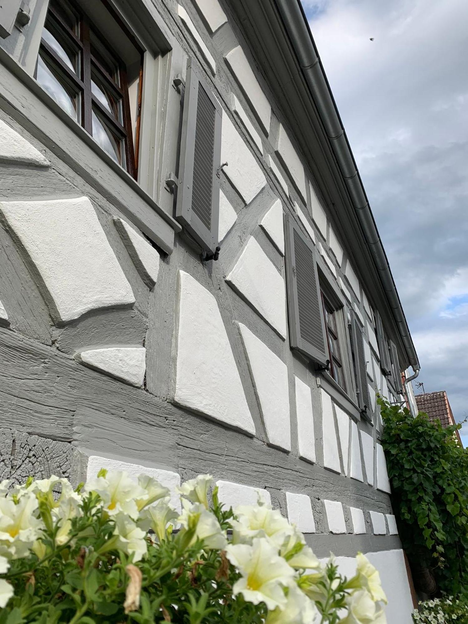 Ferienwohnung Sambachhaus 格莱斯策伦-格莱斯霍尔巴赫 外观 照片